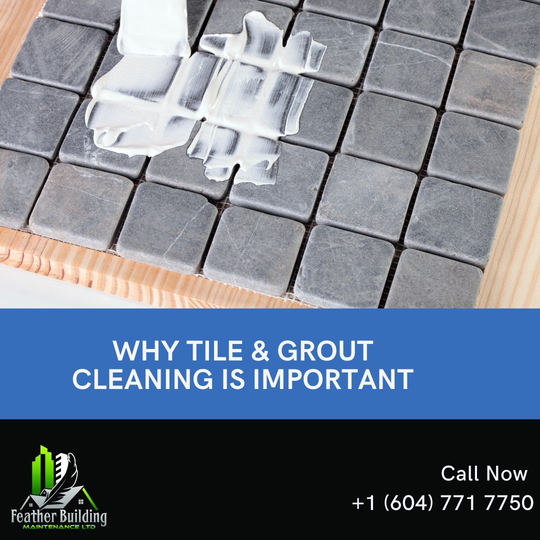 why-tile-grout-cleaning-is-important-feather-cleaning-call-1