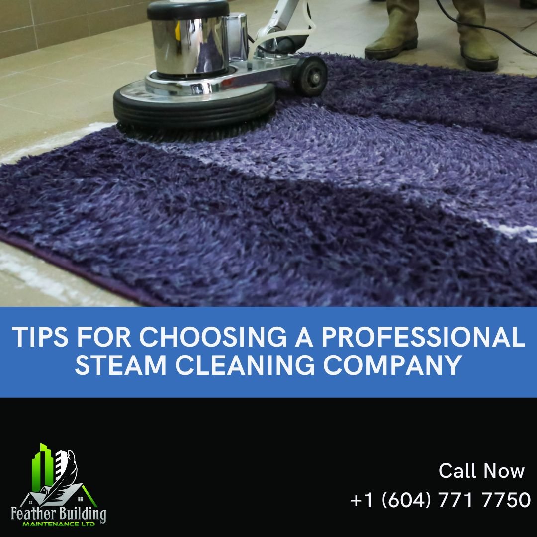 TIPS FOR CHOOSING A PROFESSIONAL STEAM CLEANING COMPANY