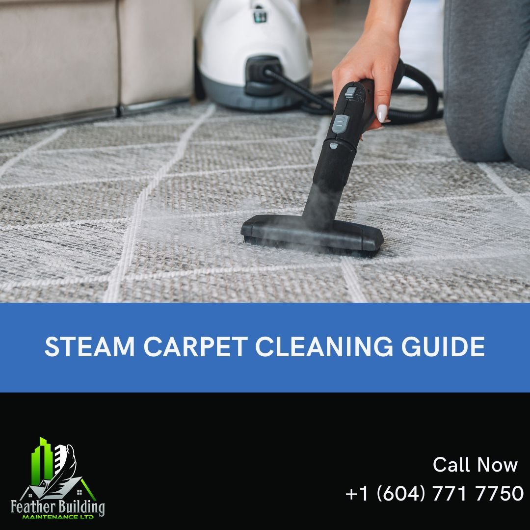 A STEAM CARPET CLEANING GUIDE