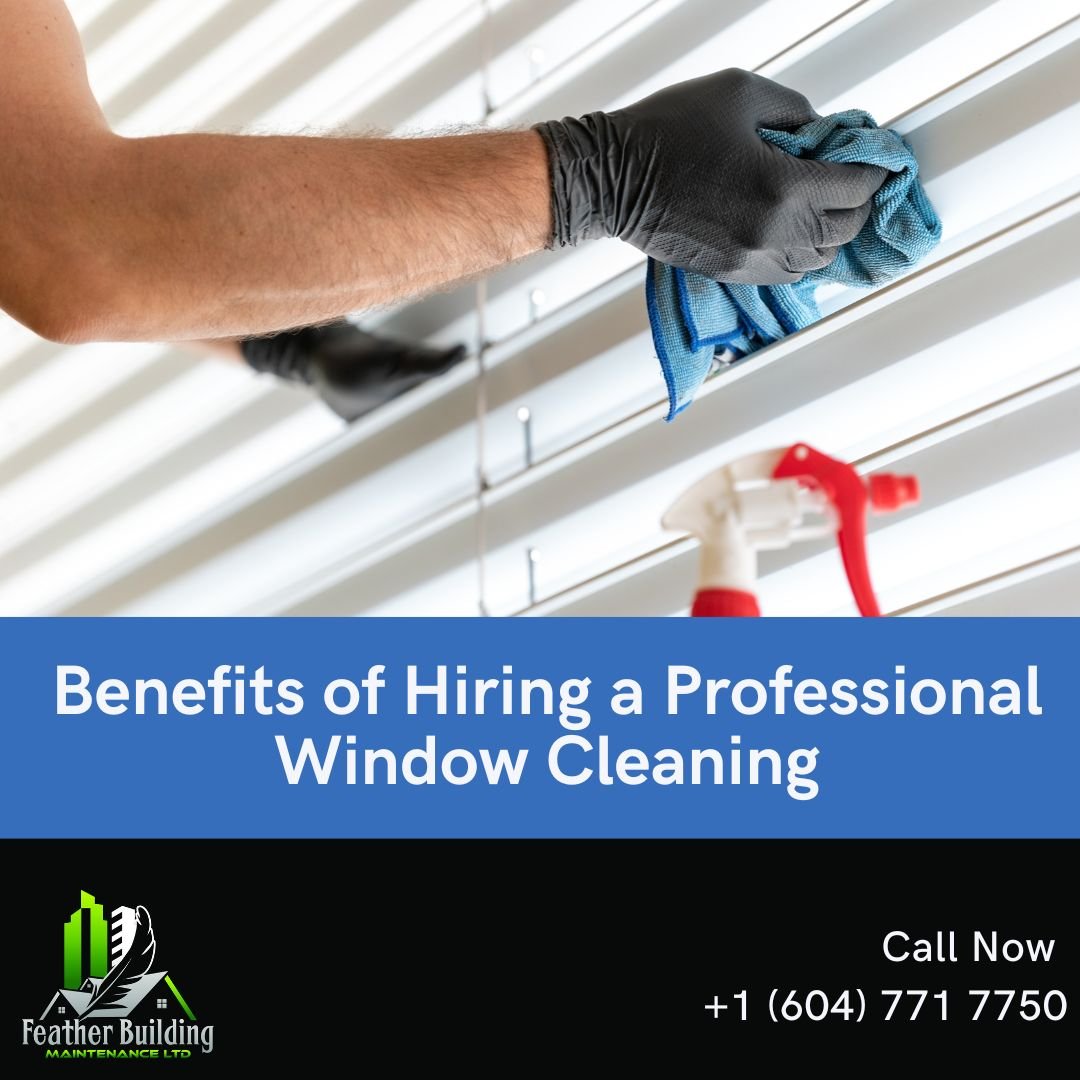 Benefits of Hiring a Professional Window Cleaning