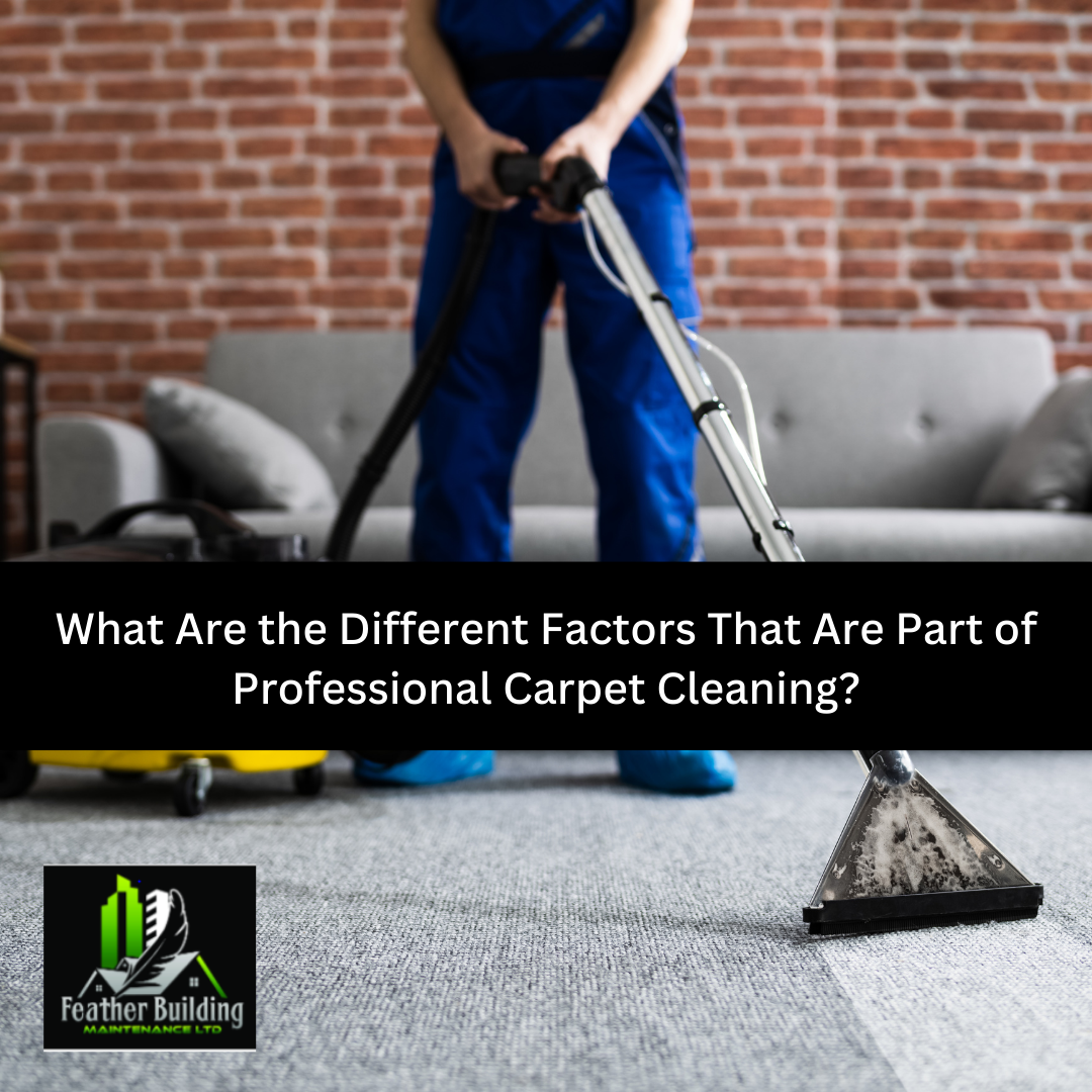 What Are the Different Factors That Are Part of Professional Carpet Cleaning?