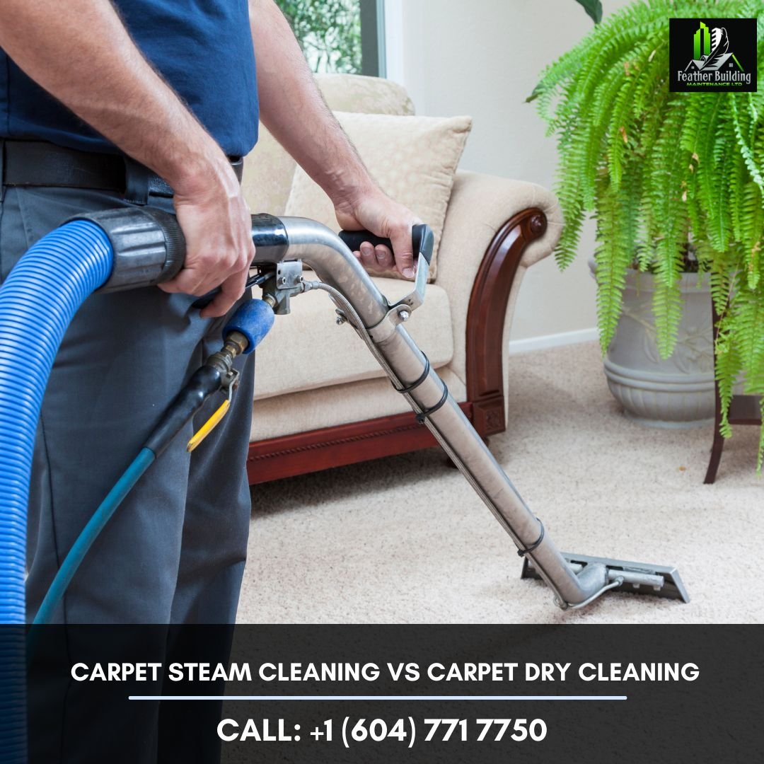 Carpet Steam Cleaning Vs Carpet Dry Cleaning?