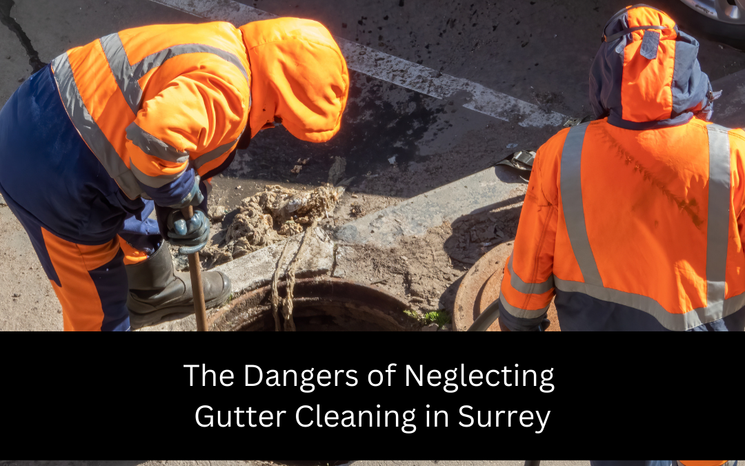 Neglecting Gutter Cleaning in Surrey