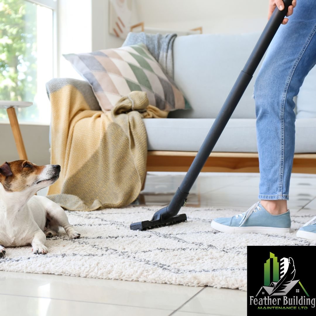Pet Owners’ Guide to Steam Carpet Cleaning in Lower Mainland