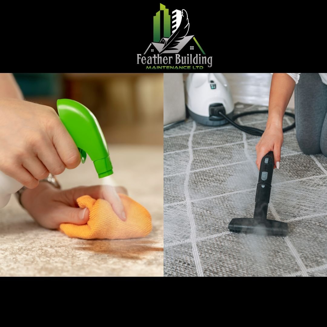 A Comparison of DIY vs. Professional Steam Carpet Cleaning