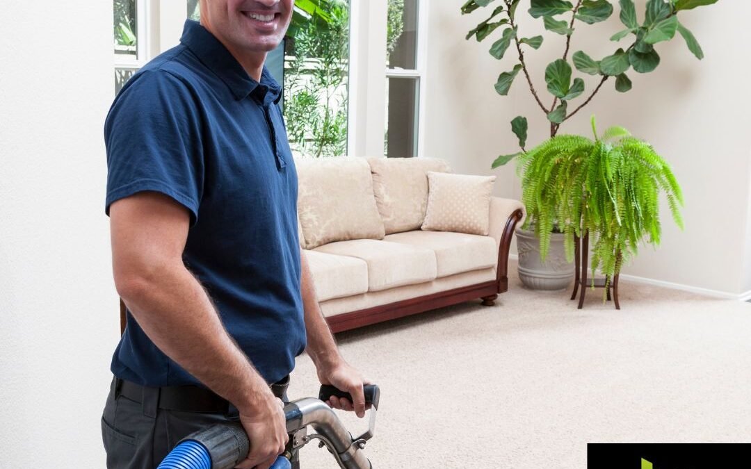 Eco-Friendly Steam Carpet Cleaning Solutions in Lower Mainland