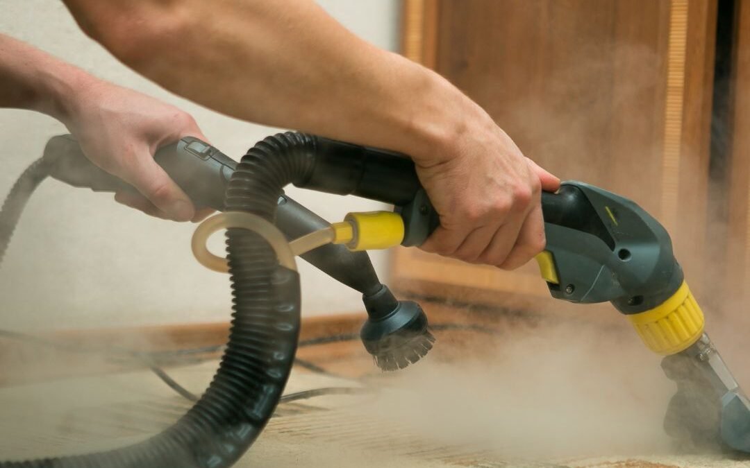 Steam Carpet Cleaning Services in Surrey: What to Look for in 2024