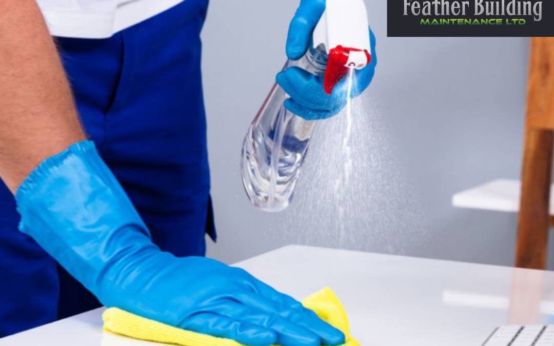 Professional Cleaning Service in Surrey