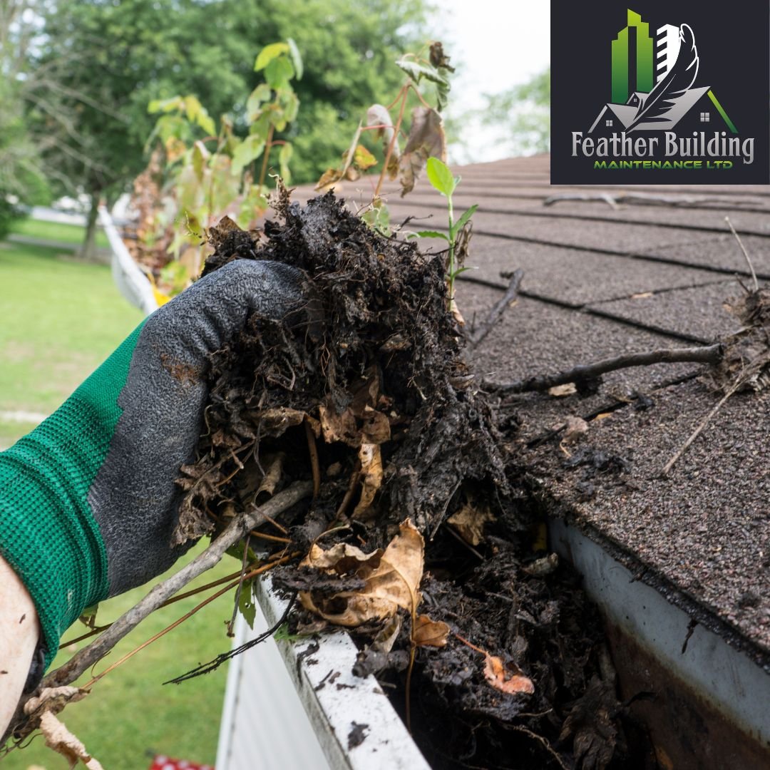 Why Is It Important to Trust Gutter Cleaning Experts in Surrey for Your Property?