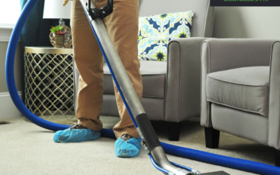 Top Benefits of Professional Steam Carpet Cleaning Services in Surrey with Feather Building Maintenance Ltd.